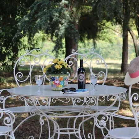 Fazia By Mmega Ortezzano